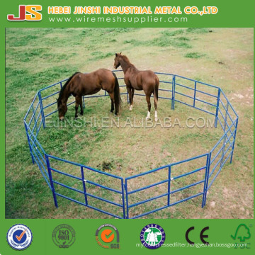 Galvanized Horse Pens